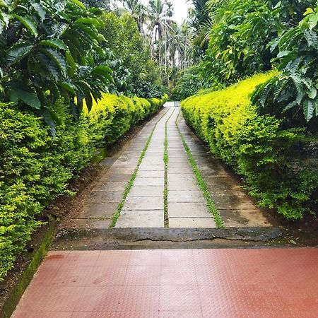 Wayanad Green Park Resort Ambalavayal 部屋 写真