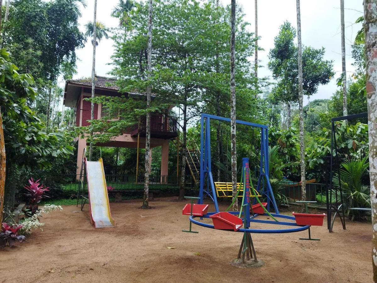 Wayanad Green Park Resort Ambalavayal エクステリア 写真