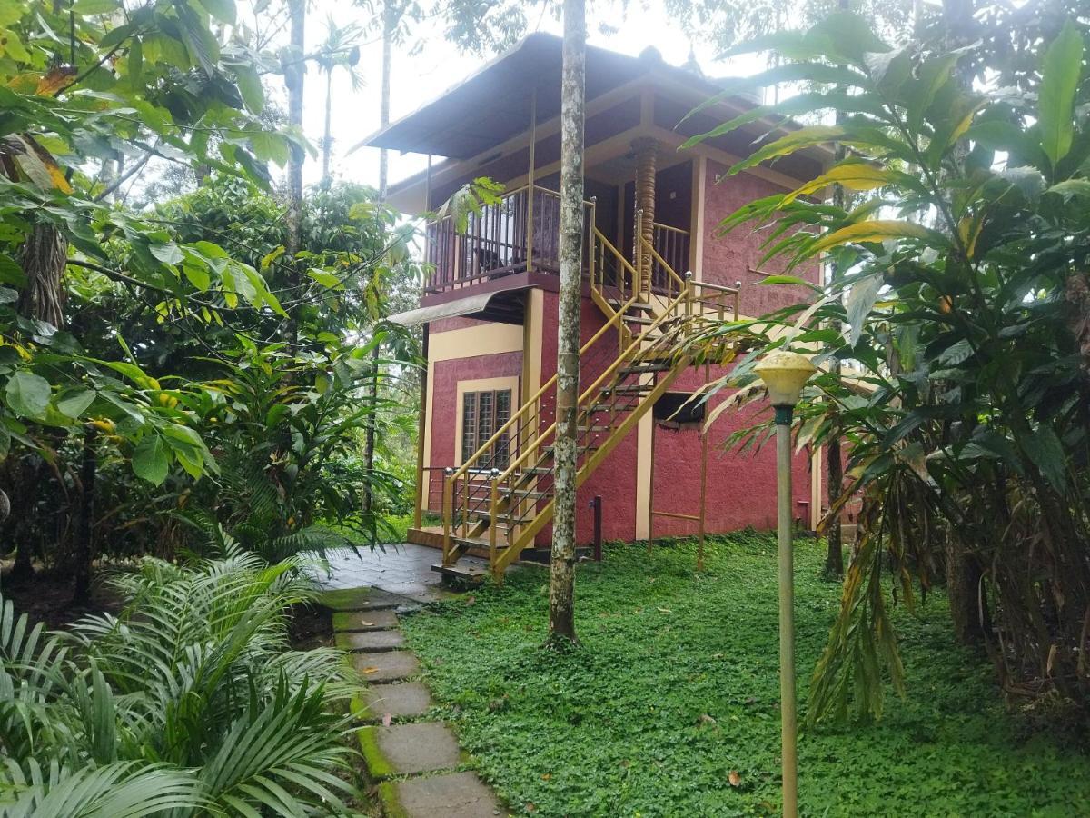 Wayanad Green Park Resort Ambalavayal エクステリア 写真