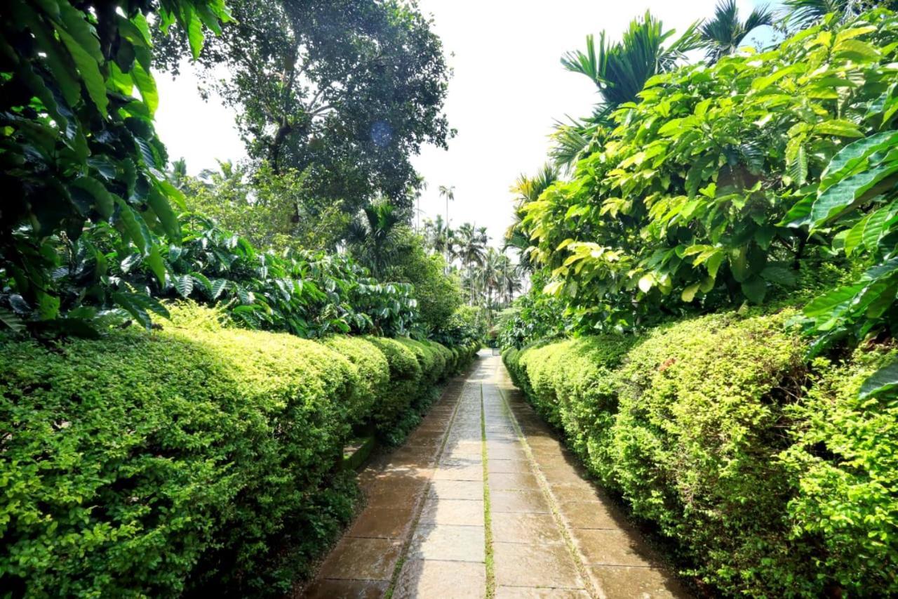 Wayanad Green Park Resort Ambalavayal エクステリア 写真