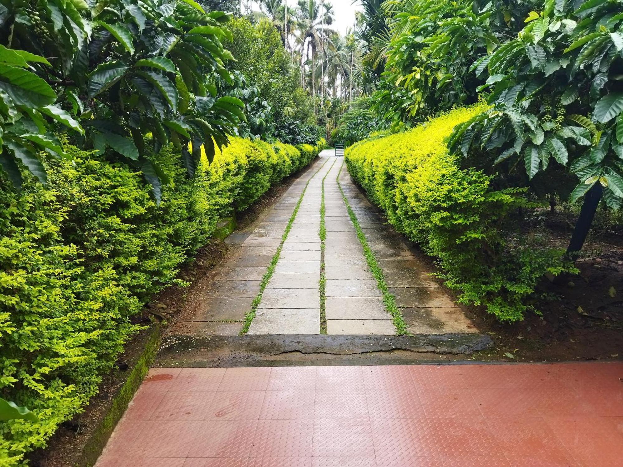 Wayanad Green Park Resort Ambalavayal 部屋 写真