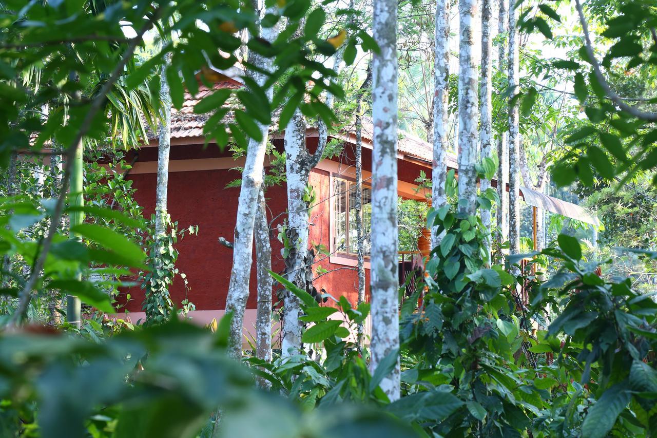 Wayanad Green Park Resort Ambalavayal エクステリア 写真