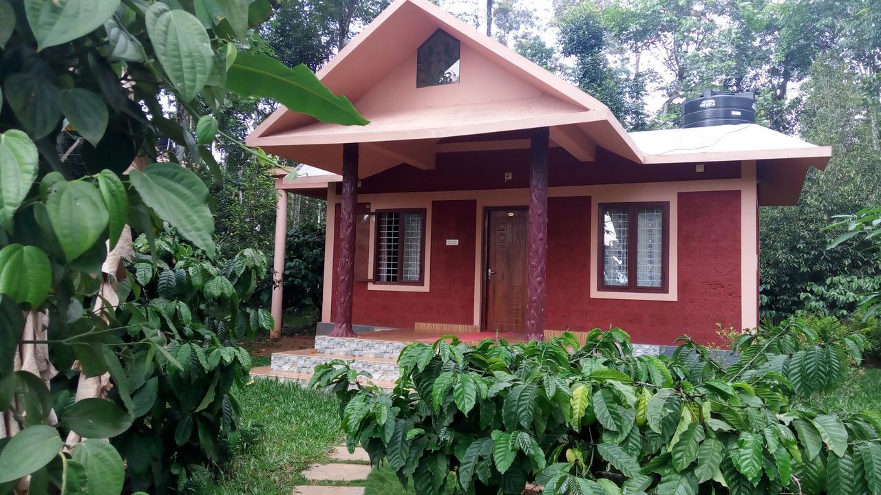 Wayanad Green Park Resort Ambalavayal エクステリア 写真