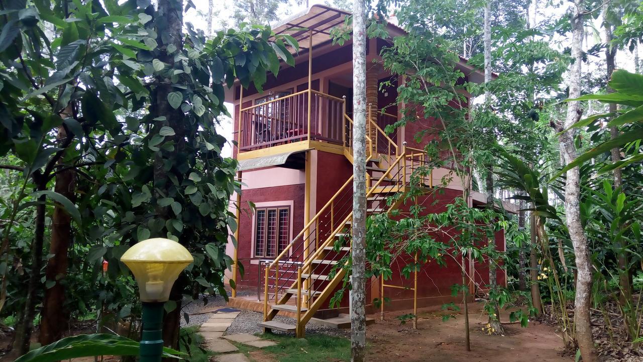 Wayanad Green Park Resort Ambalavayal エクステリア 写真